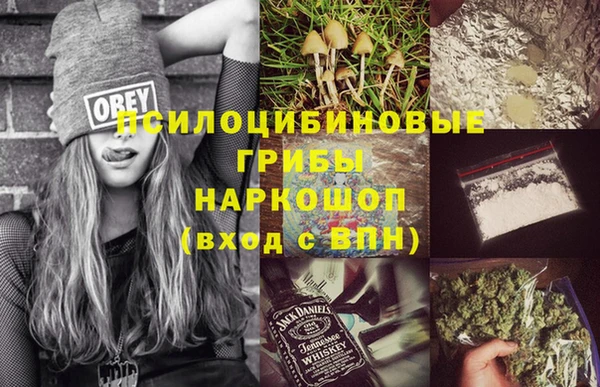 соль ск Абаза