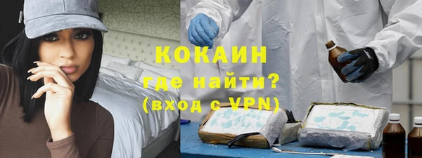 соль ск Абаза