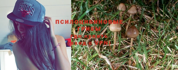 соль ск Абаза