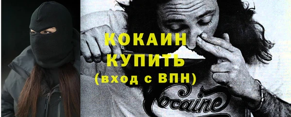 соль ск Абаза
